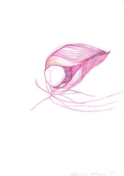 25_26_26_organes0103