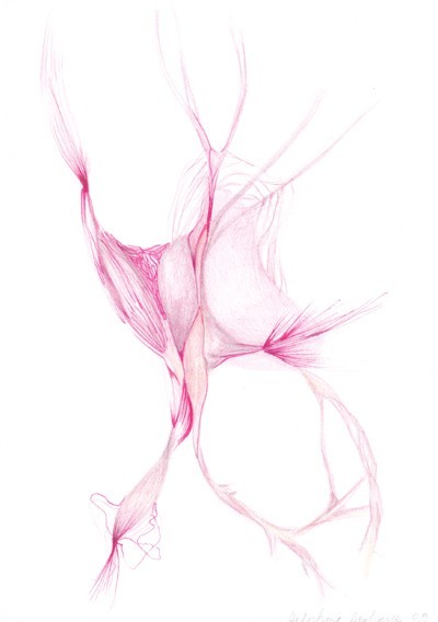 25_26_26_organes0201