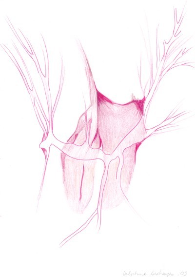 25_26_26_organess0203