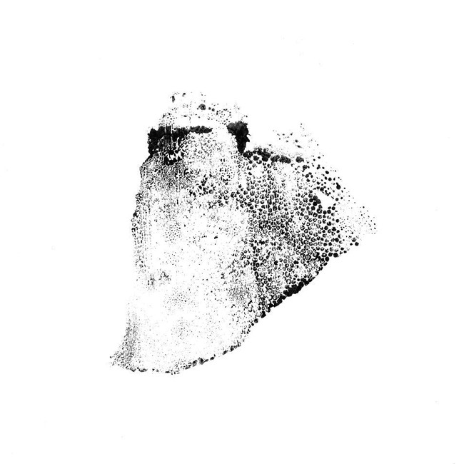 33_gs_visuel_carton7